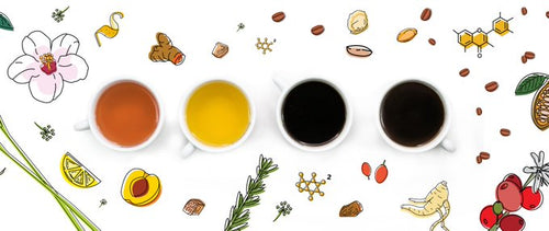 The Complete Guide to Flavia Creation 600 Drinks
